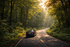 તુલસીશ્યામ ગ્રેવિટી હિલ - ગુરુત્વાકર્ષણ વિરુદ્ધ જતો રસ્તો