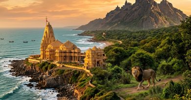 સૌરાષ્ટ્ર Tourism Guide Illustration
